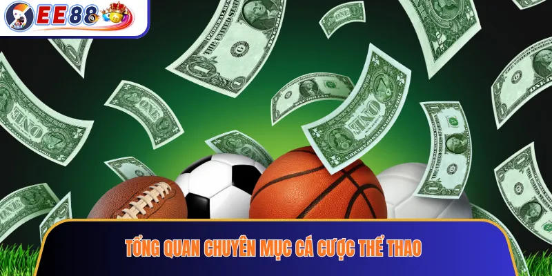 Tổng quan chuyên mục cá cược thể thao